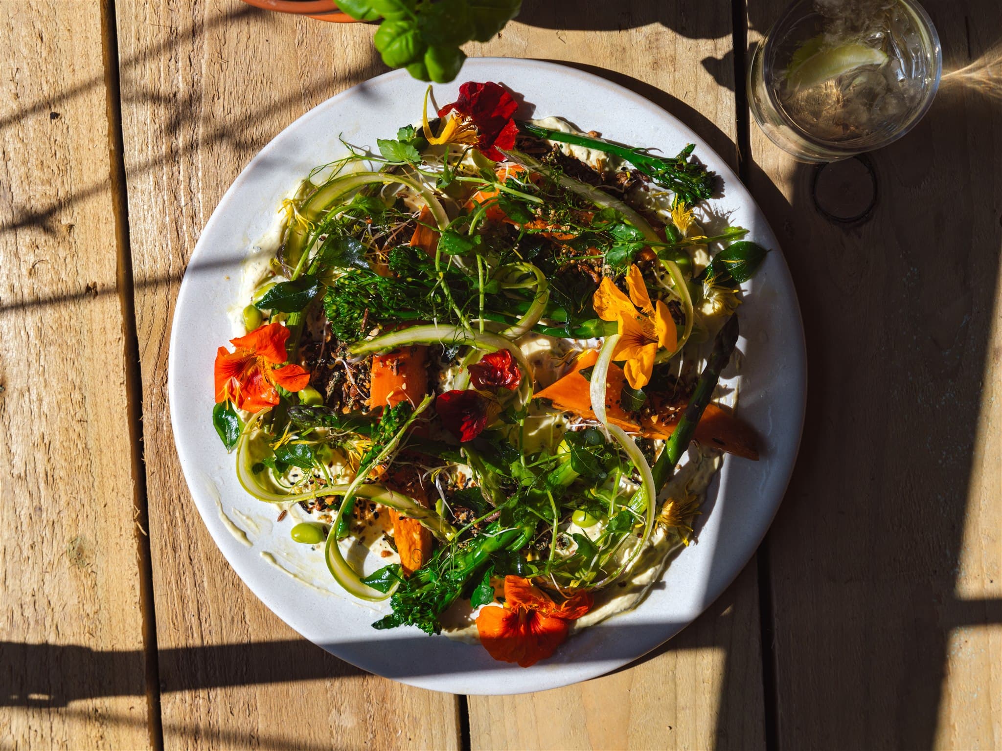 plate of food