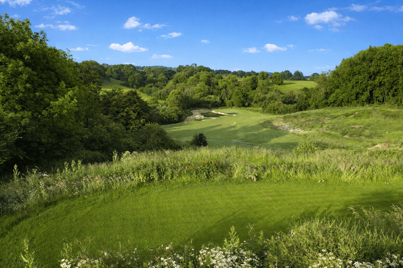 Third Hole Mad Swans